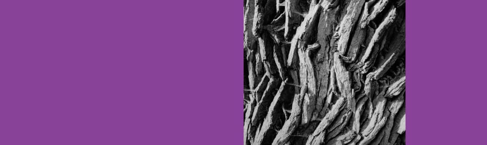 Henry Landers Kunst Serie Titel - Wie sich Liebe anfühlt ?