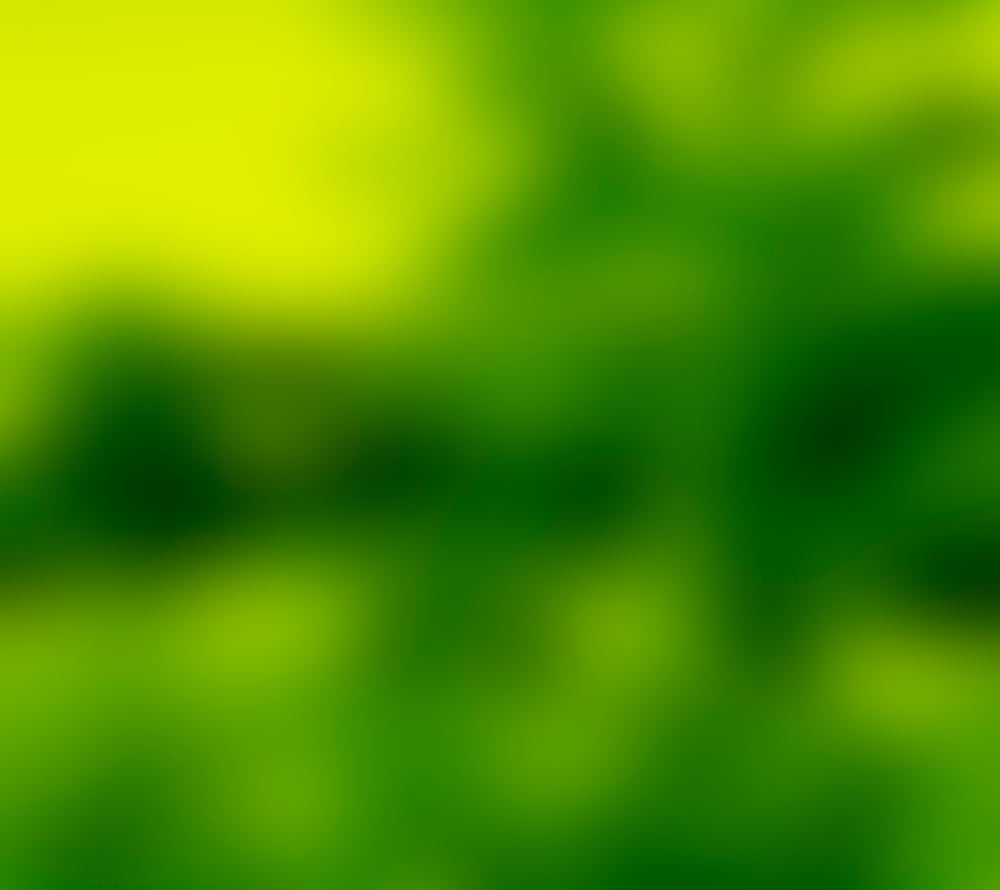 Henry Landers Kunst Serie Titel - Time