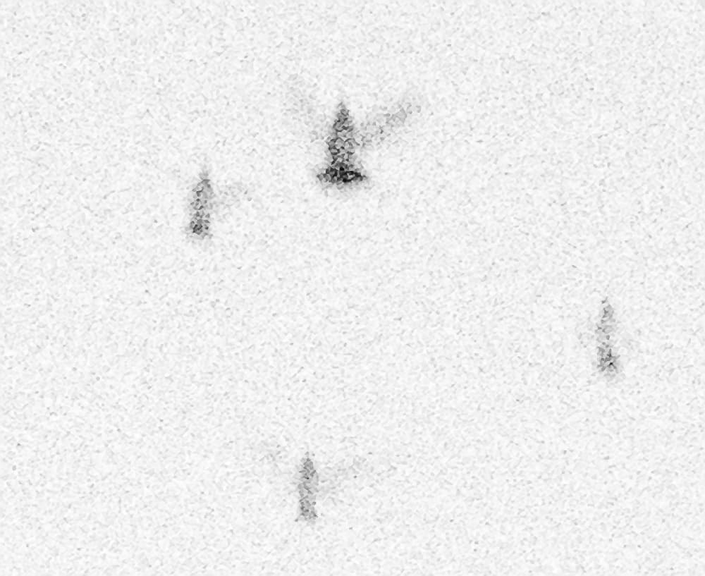 Henry Landers Kunst Serie Titel - Transit