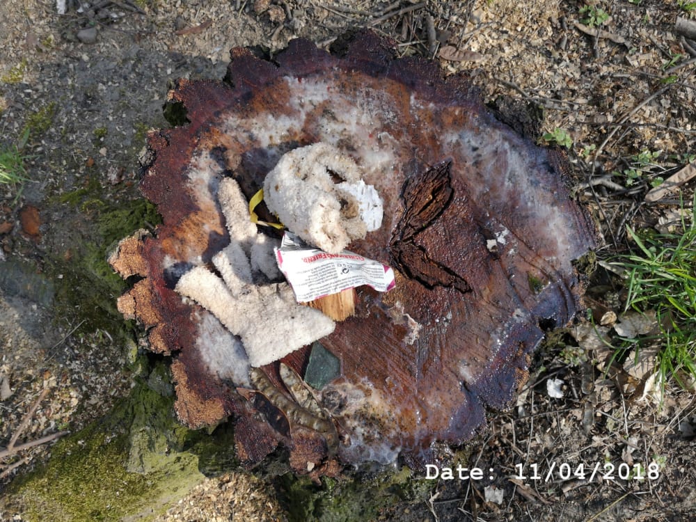Henry Landers Fotografie Serie Titel - Time - Zwei Handschuhe