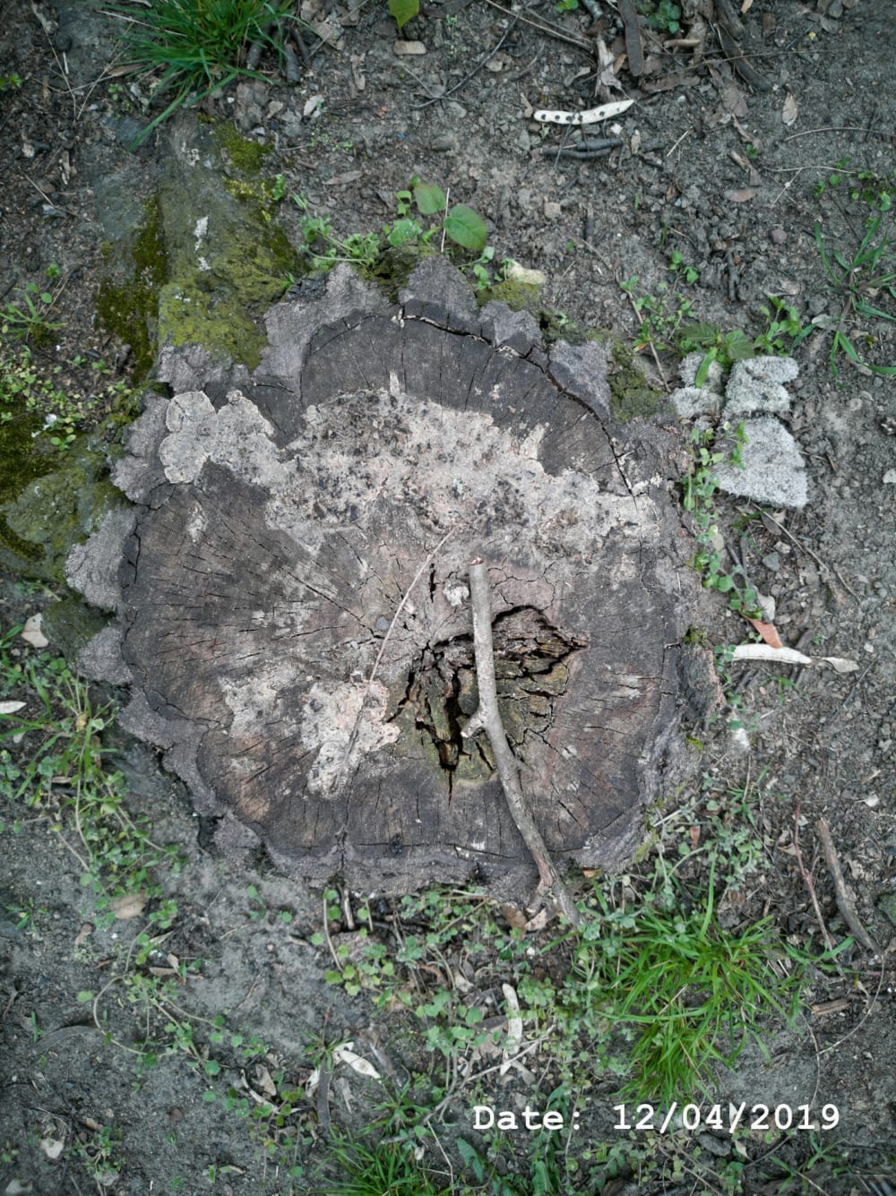 Henry Landers Fotografie Serie Titel - Time - Zwei Handschuhe