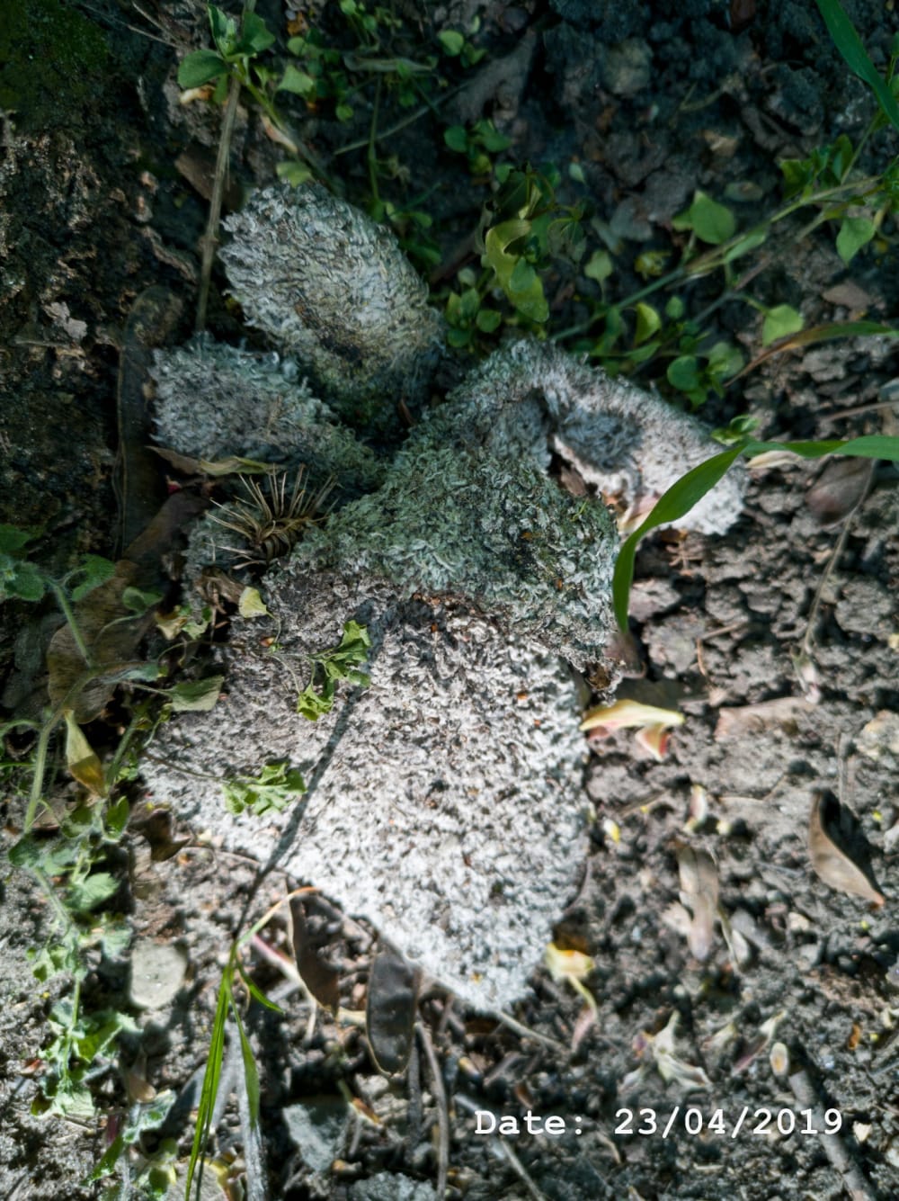 Henry Landers Fotografie Serie Titel - Time - Zwei Handschuhe