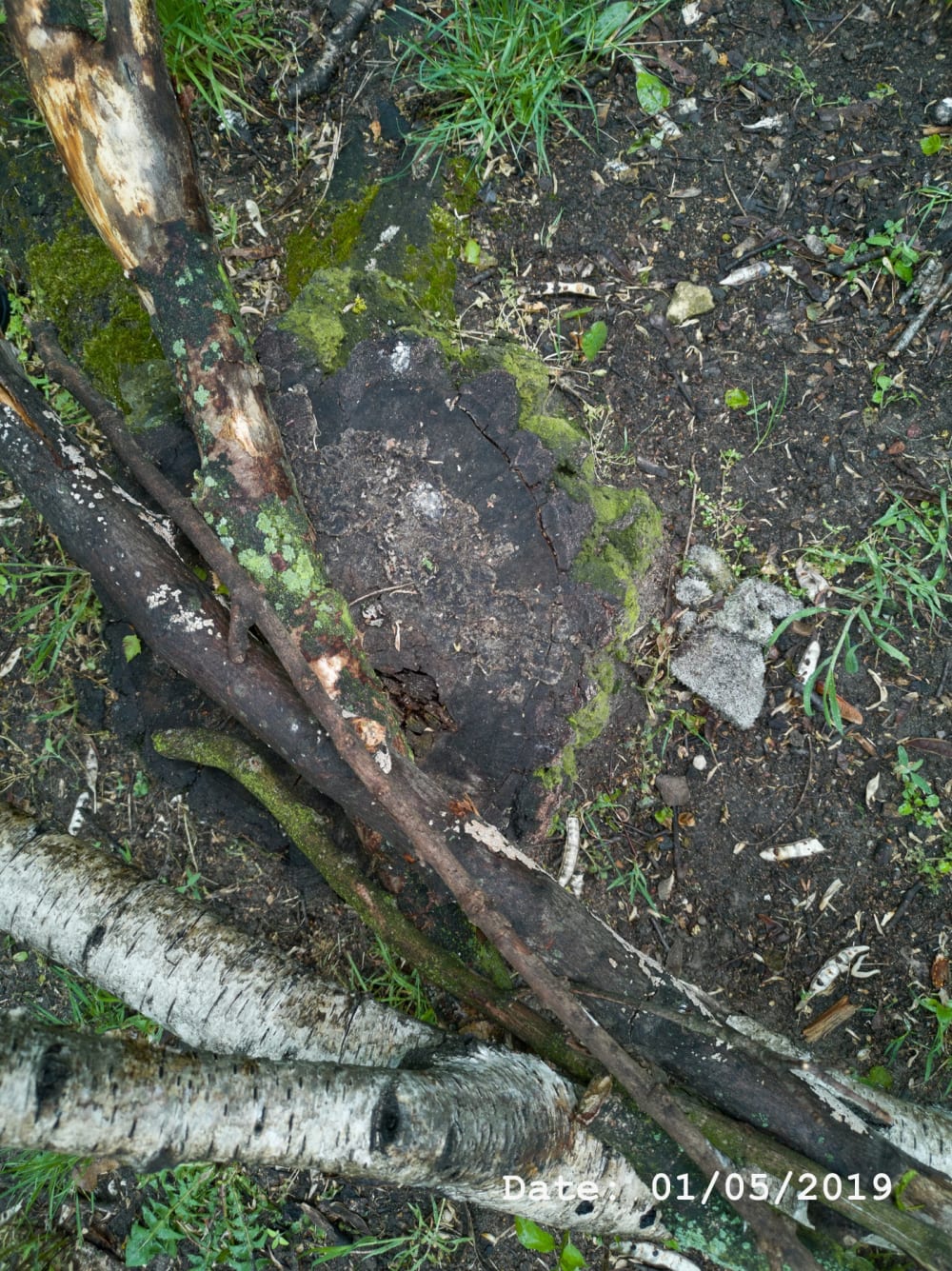 Henry Landers Fotografie Serie Titel - Time - Zwei Handschuhe