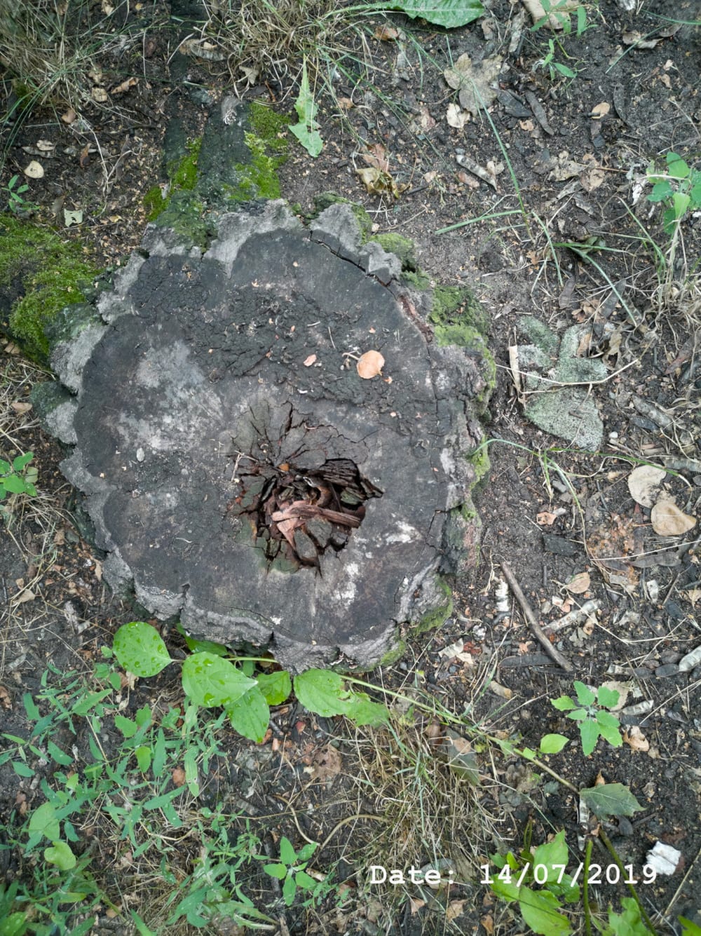 Henry Landers Fotografie Serie Titel - Time - Zwei Handschuhe