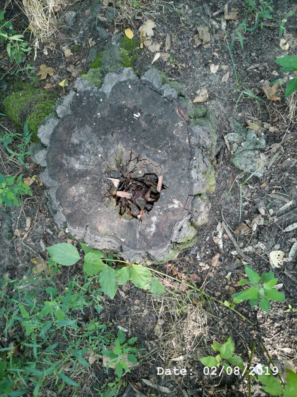 Henry Landers Fotografie Serie Titel - Time - Zwei Handschuhe