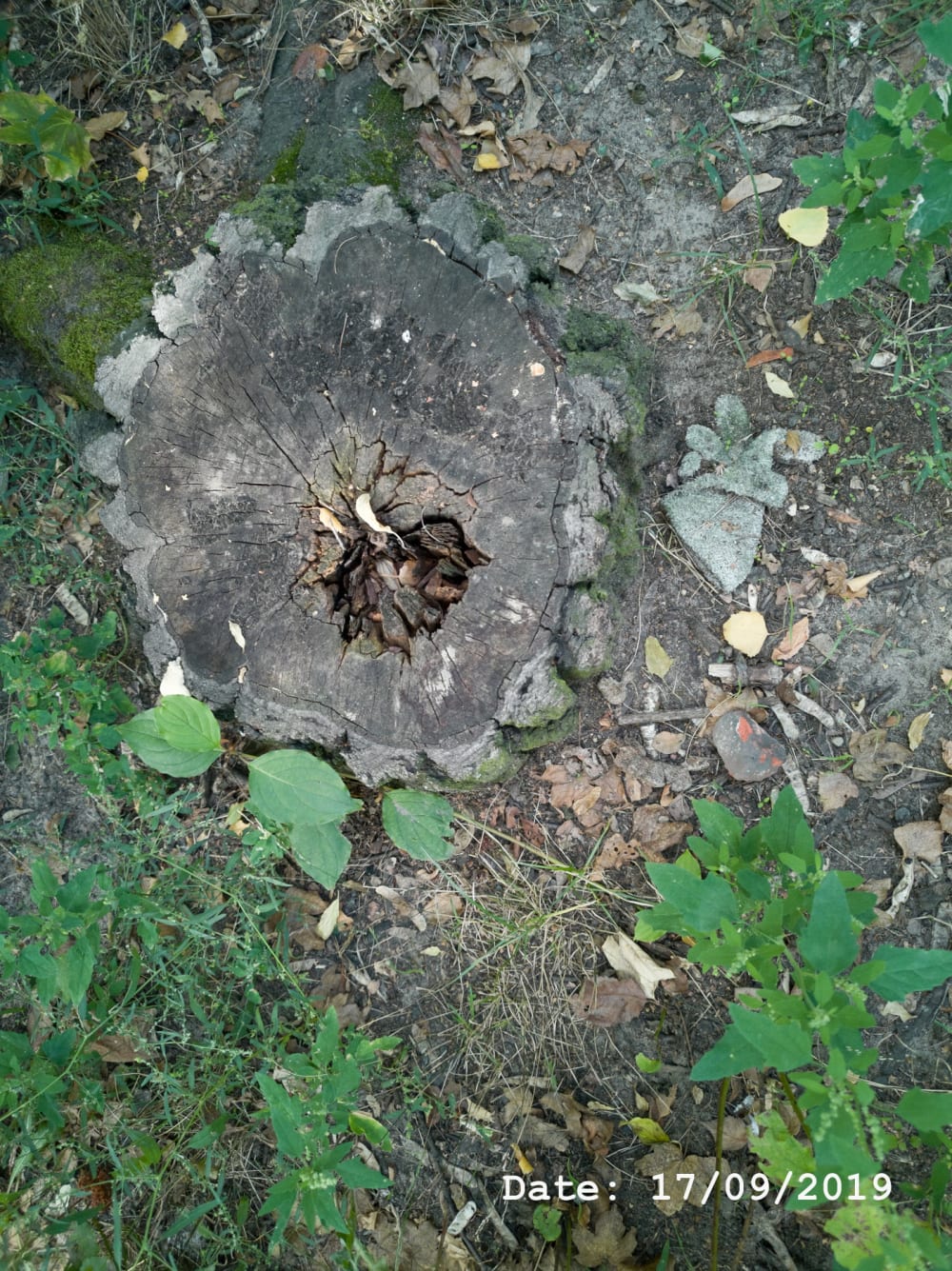 Henry Landers Fotografie Serie Titel - Time - Zwei Handschuhe