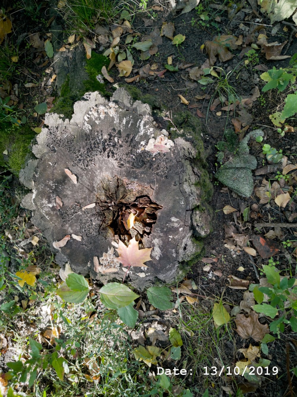 Henry Landers Fotografie Serie Titel - Time - Zwei Handschuhe