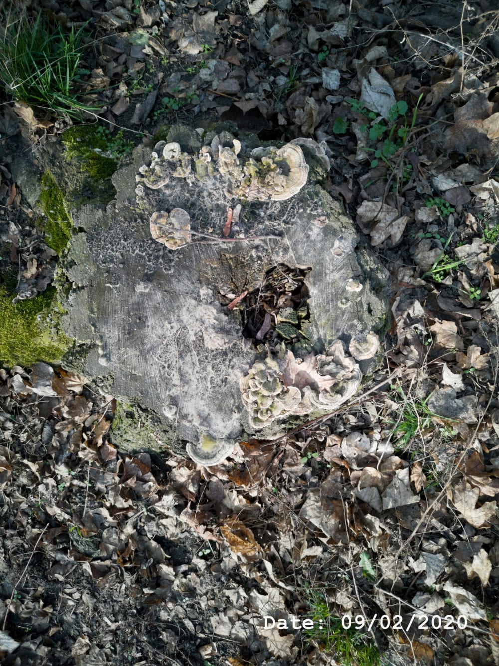 Henry Landers Fotografie Serie Titel - Time - Zwei Handschuhe